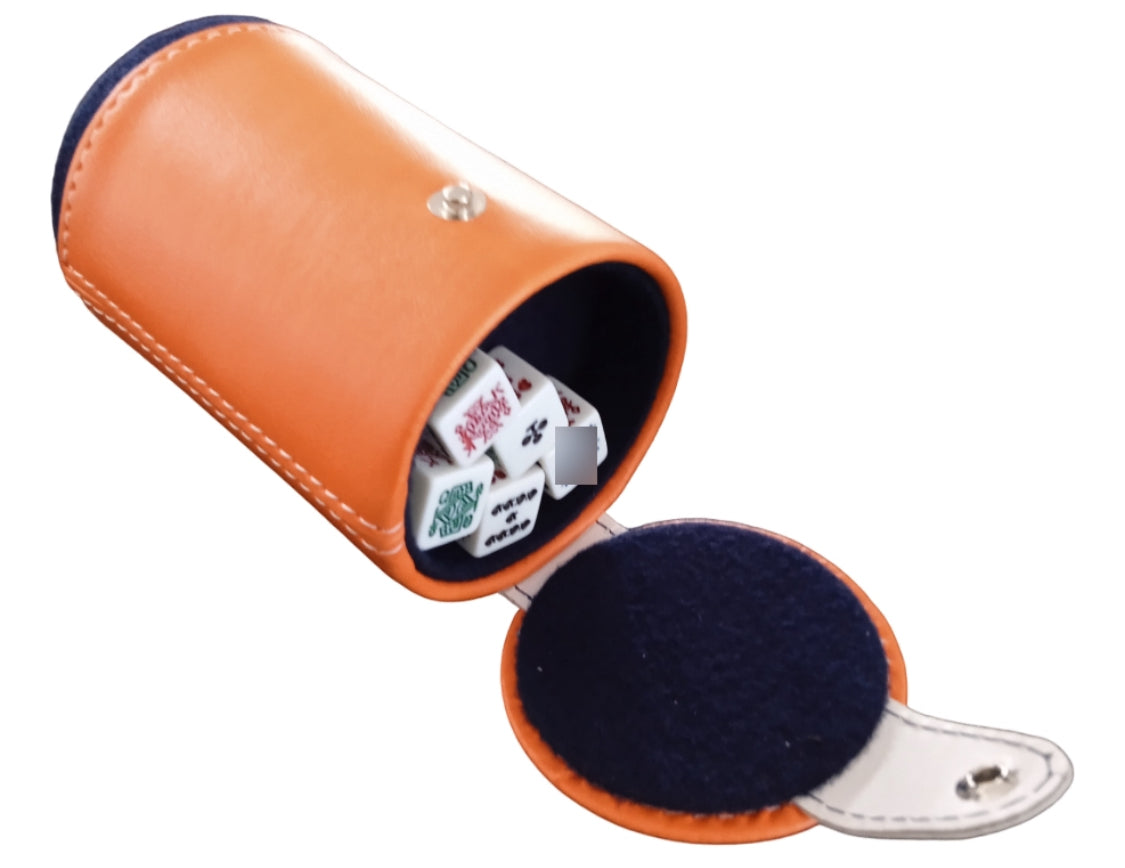 Professional Dominoes Set Cubilete Houston Astros in Faux Leather Box Space City